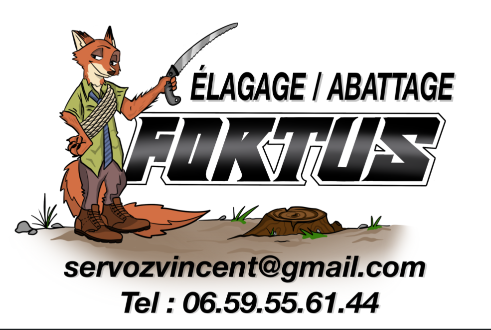 FORTUS ÉLAGAGE ABATTAGE 